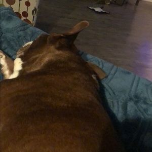 Meet your Posher, Corinne